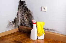 Best Attic Mold Removal in Soperton, GA